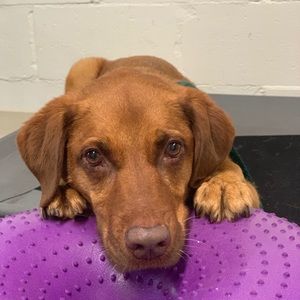 Meet your Posher, Tina